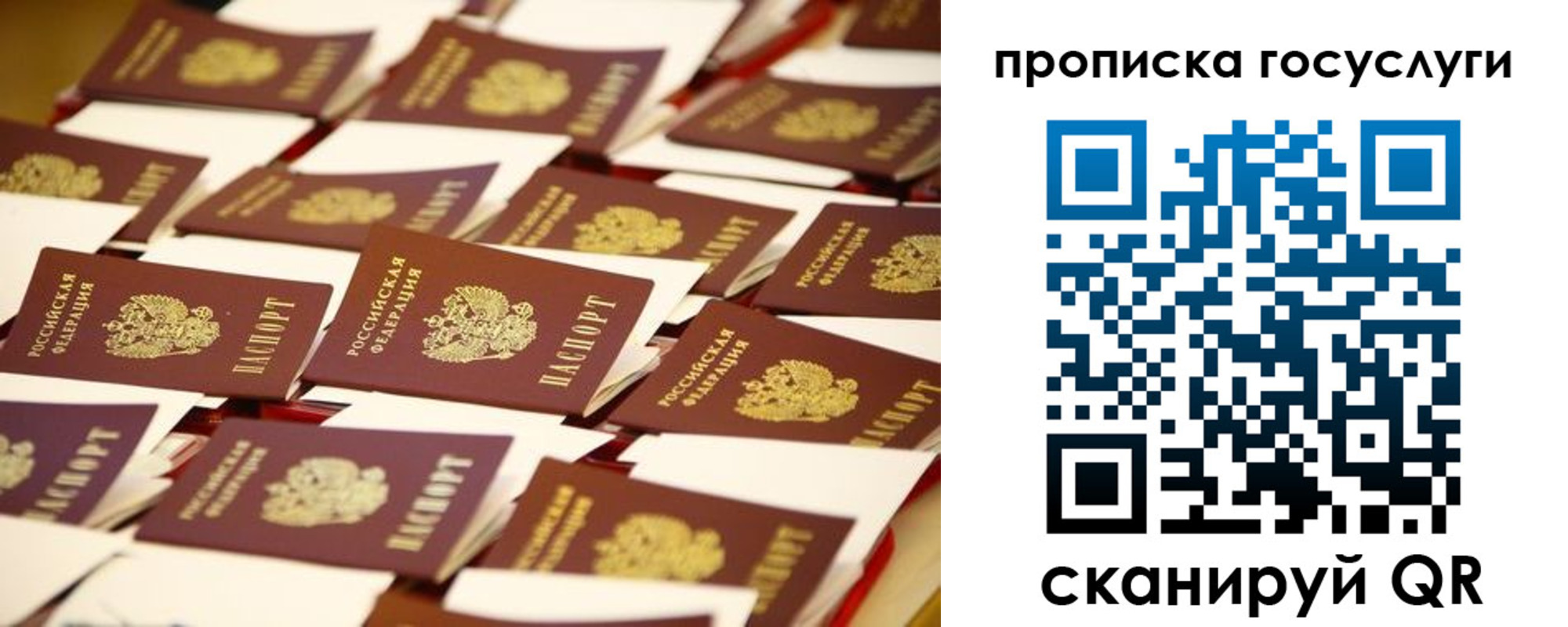 прописка гарантия в Домодедово